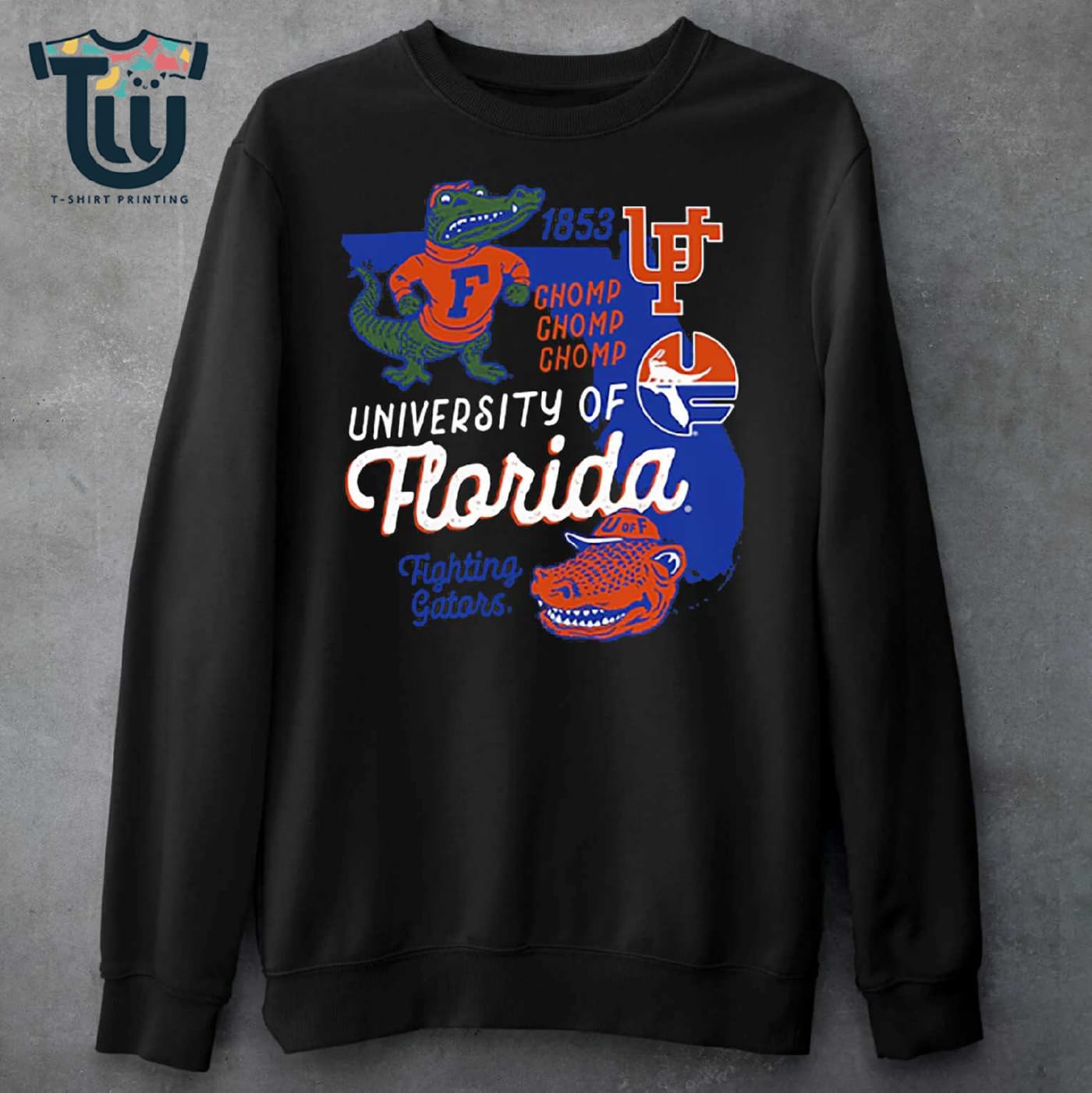 Florida Gators Big & Tall Vault Vintage Logo Core T-shirt